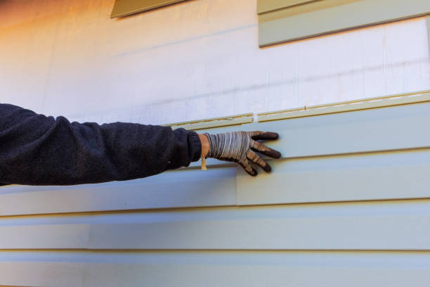 Best Siding Painting and Refinishing  in Kalifornsky, AK